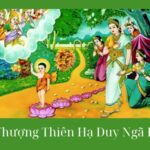 Thiên Thượng Thiên Hạ Duy Ngã Độc Tôn