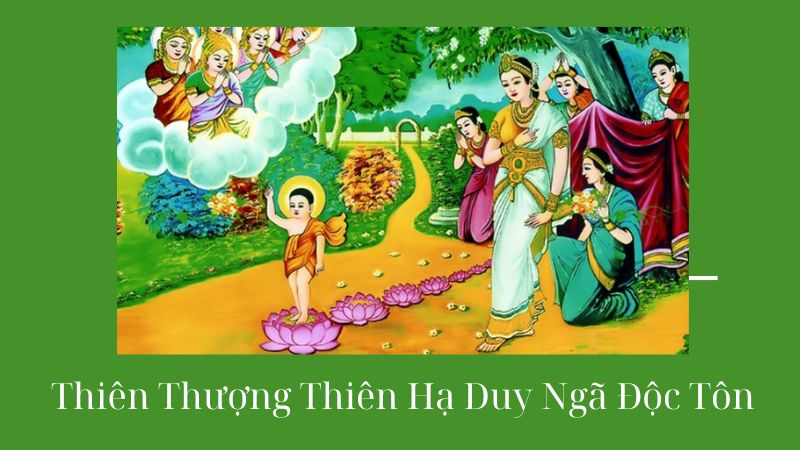 Thiên Thượng Thiên Hạ Duy Ngã Độc Tôn: Hiểu Đúng Câu Nói