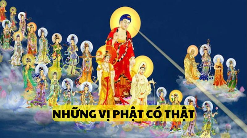 Khái quát những vị Phật có thật